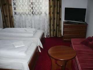 Отели типа «постель и завтрак» Pensjonat Korona Modrzyca Двухместный номер с 1 кроватью или 2 отдельными кроватями-13